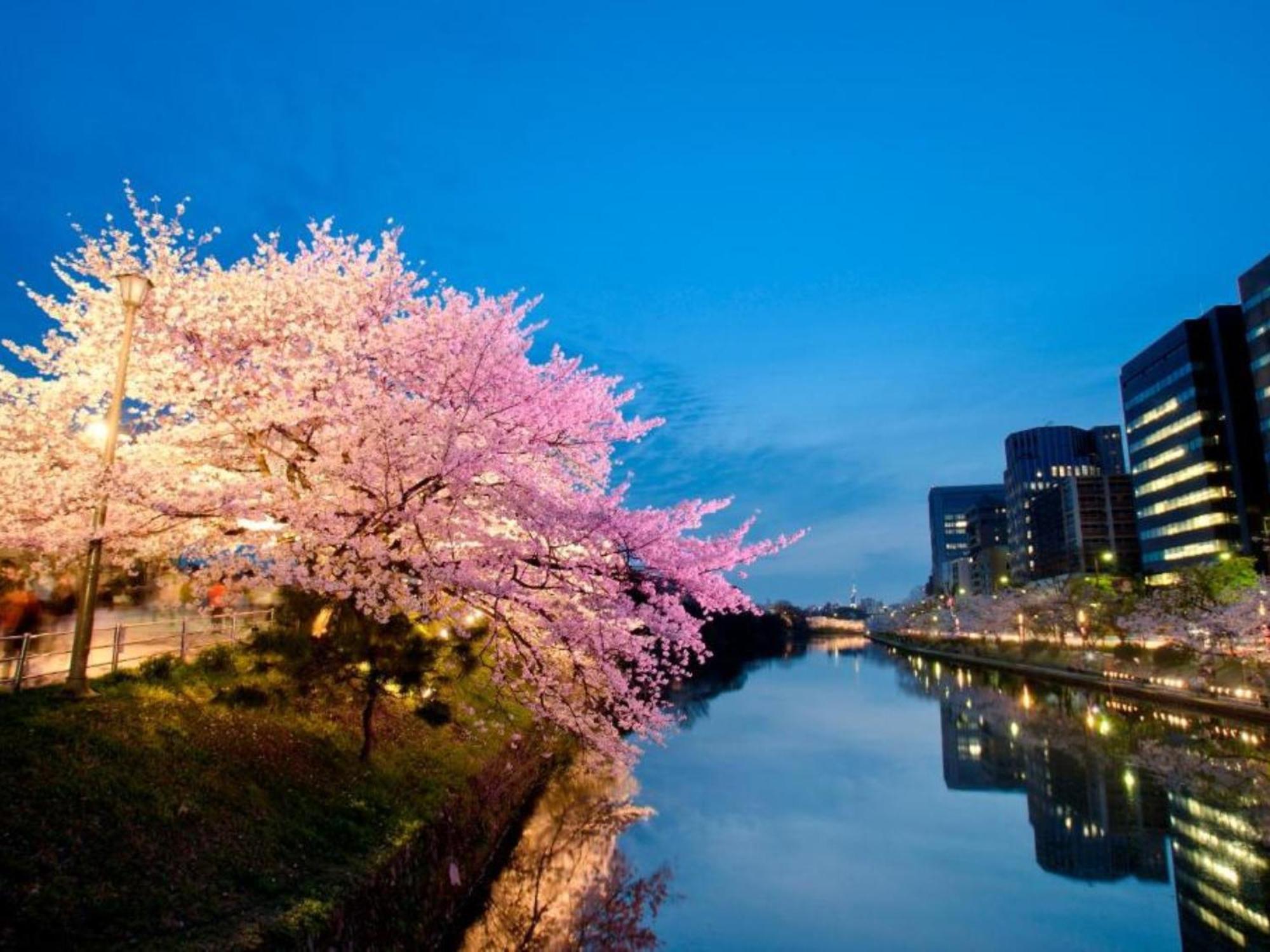 Hotel Resol Trinity Hakata Fukuoka  Eksteriør billede